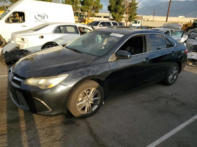 2015 TOYOTA CAMRY LE, 