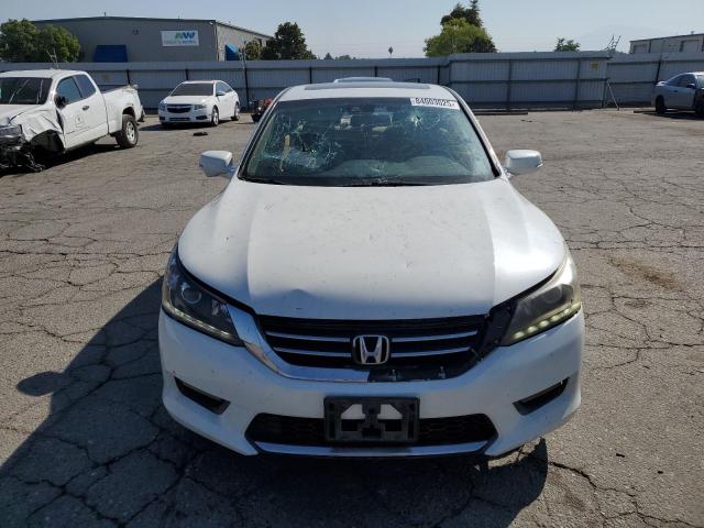 1HGCR3F80EA042169 - 2014 HONDA ACCORD EXL أبيض صورة 5