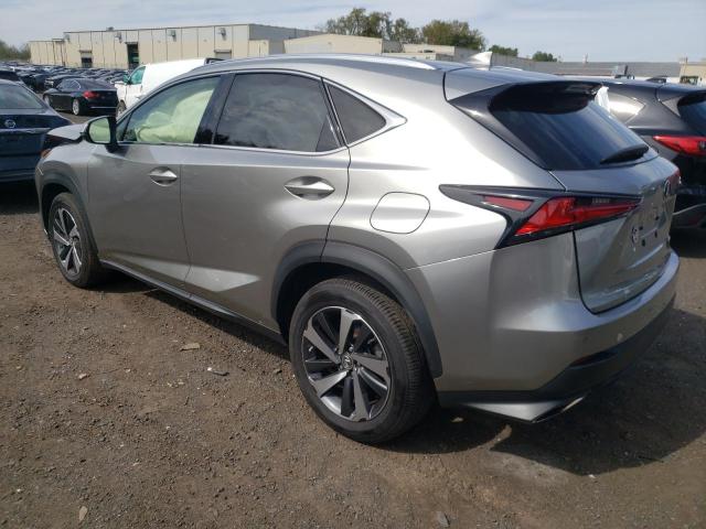 JTJBARBZ2K2216717 - 2019 LEXUS NX 300 BASE رمادي صورة 2
