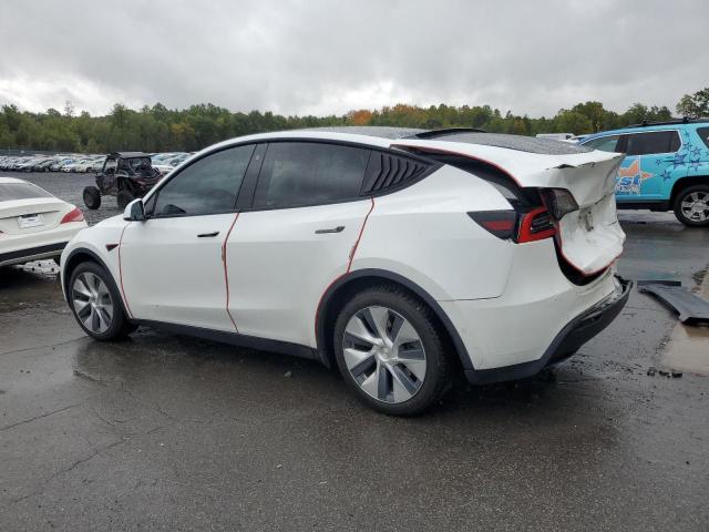 5YJYGDEE8LF044327 - 2020 TESLA MODEL Y Ağ foto 2