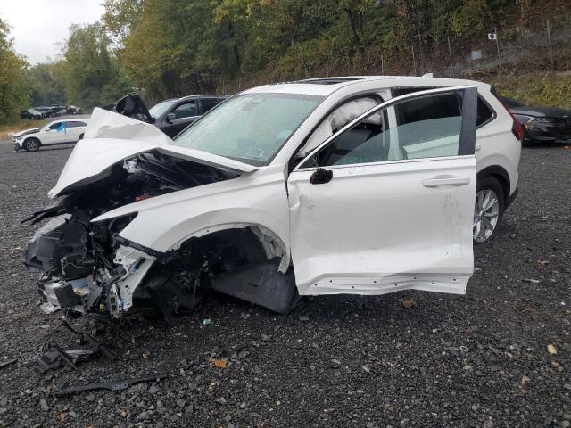 2025 HONDA CR-V EXL, 