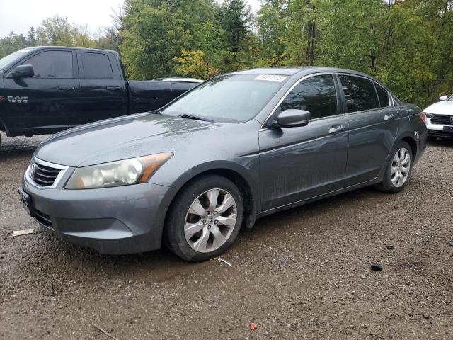 2010 HONDA ACCORD EXL, 