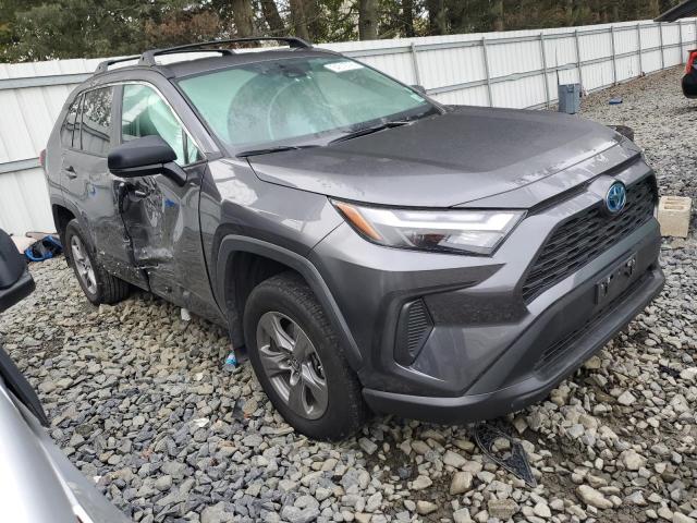 4T3LWRFV5RU125829 - 2024 TOYOTA RAV4 LE GRAY photo 4