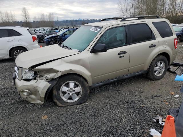 2011 FORD ESCAPE XLT, 