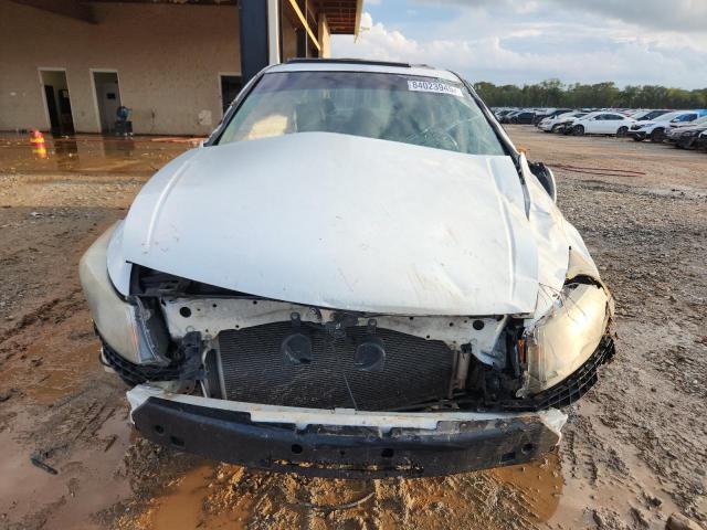 1HGCP3F89BA006692 - 2011 HONDA ACCORD EXL 白色 照片 5