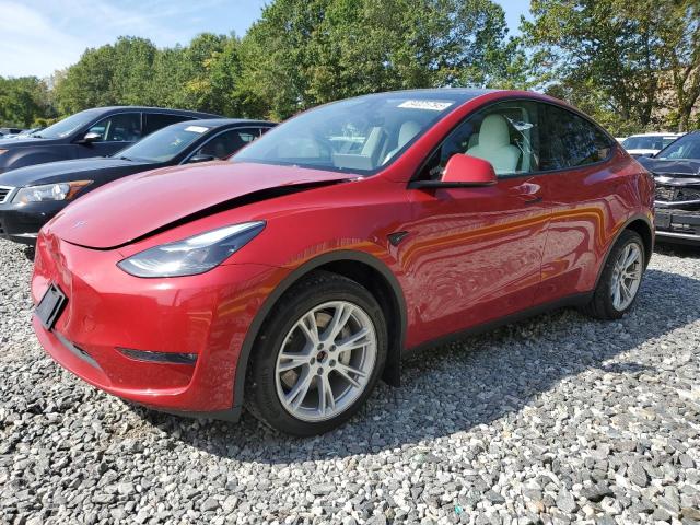 2023 TESLA MODEL Y, 