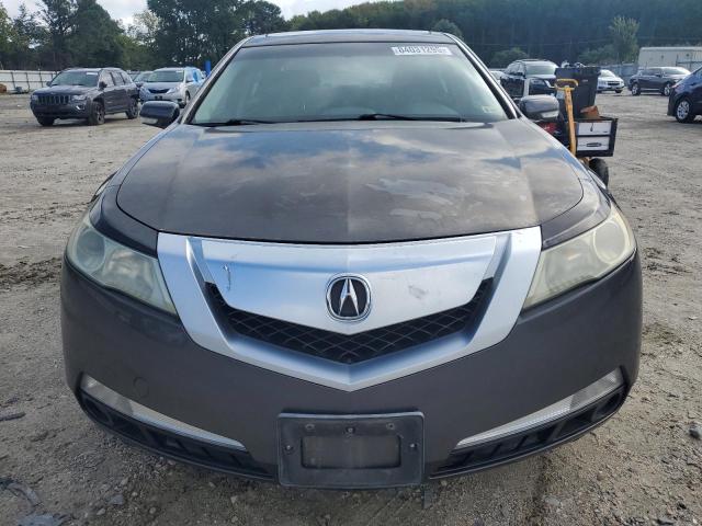 19UUA8F50BA001437 - 2011 ACURA TL Մոխրագույն լուսանկար 5