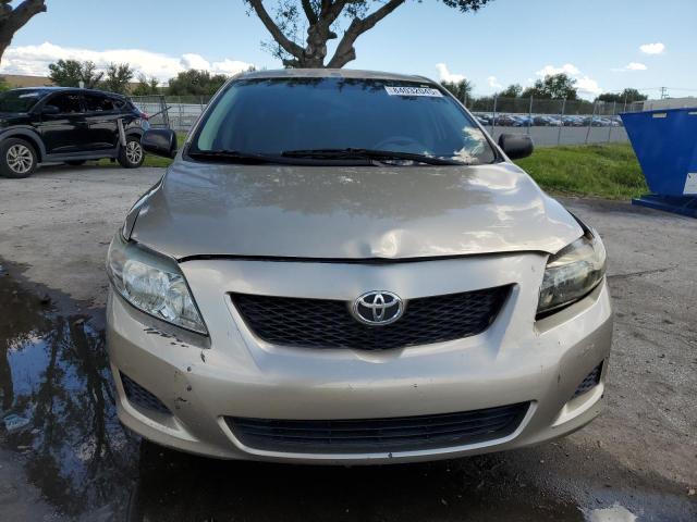1NXBU4EE0AZ270716 - 2010 TOYOTA COROLLA BASE Bej foto 5