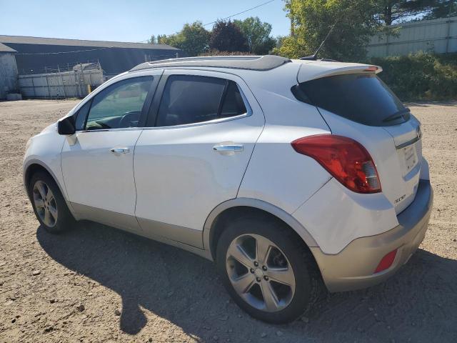 KL4CJCSB0EB782025 - 2014 BUICK ENCORE 白色 照片 2