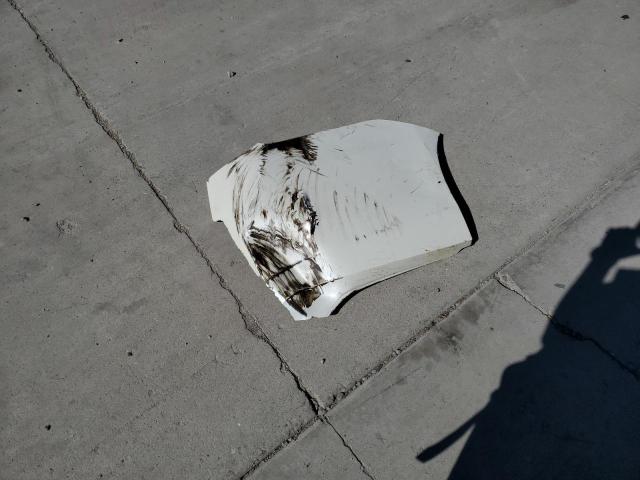 5FNRL5H65GB007770 - 2016 HONDA ODYSSEY EXL თეთრი ფოტო 13