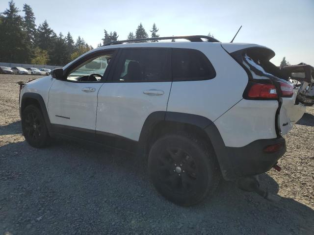 1C4PJMBS6FW503720 - 2015 JEEP CHEROKEE TRAILHAWK WHITE photo 2