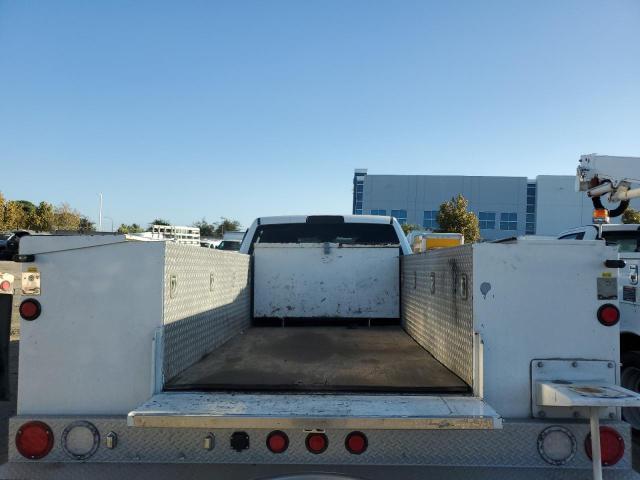 3C7WRSCL2LG184720 - 2020 RAM 3500 Սպիտակ լուսանկար 10