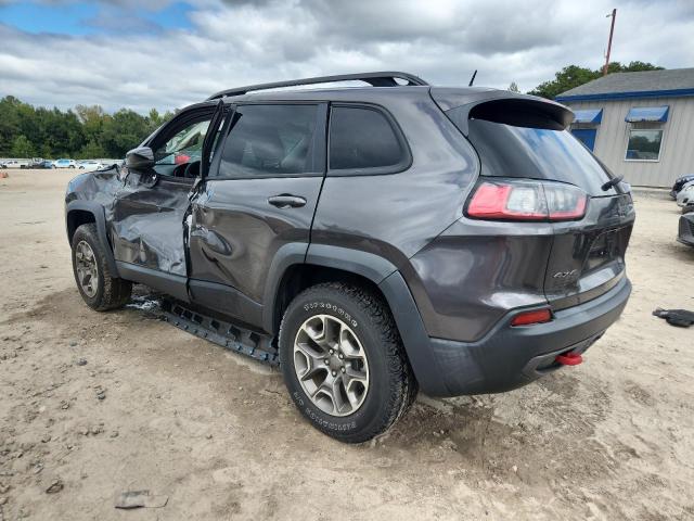 1C4PJMBX1ND530135 - 2022 JEEP CHEROKEE TRAILHAWK GRAY photo 2