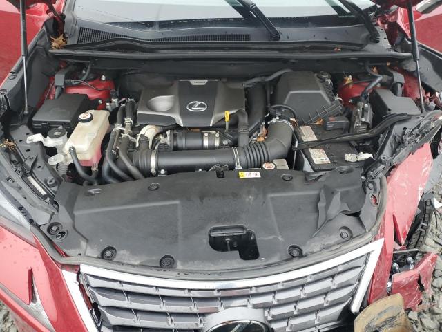 JTJDARDZ2M5024172 - 2021 LEXUS NX 300 BASE წითელი ფოტო 12