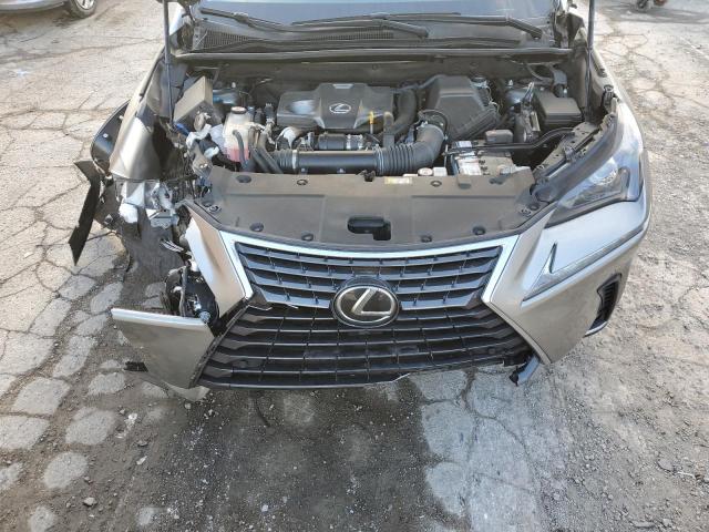 JTJDARDZ7M2248717 - 2021 LEXUS NX 300 BASE ნაცრისფერი ფოტო 12