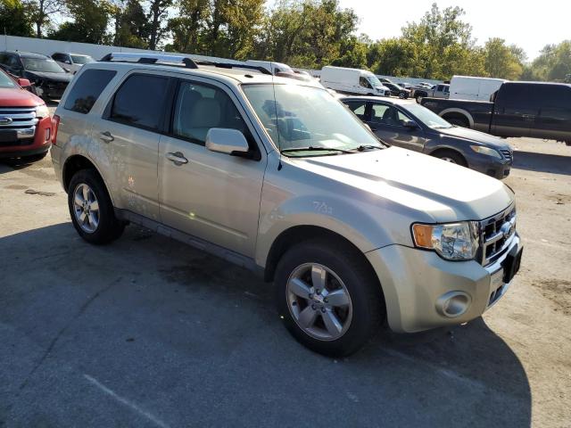 1FMCU0EG7BKC29706 - 2011 FORD ESCAPE LIMITED ოქროსფერი ფოტო 4