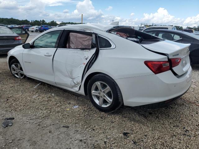 1G1ZD5ST4RF117650 - 2024 CHEVROLET MALIBU LT WHITE photo 2