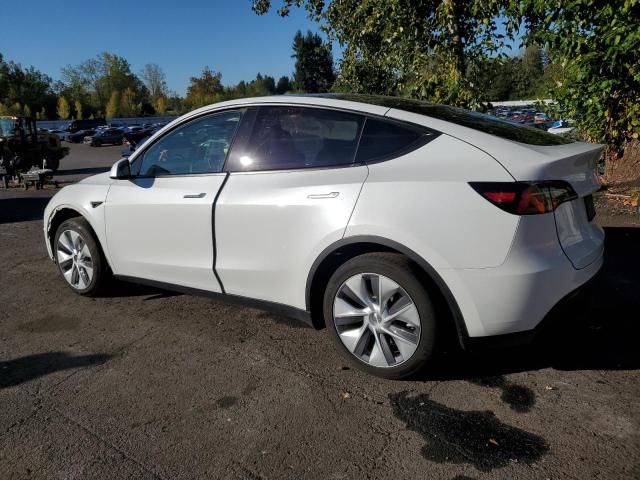 7SAYGDEE5PF907321 - 2023 TESLA MODEL Y 白色 照片 2