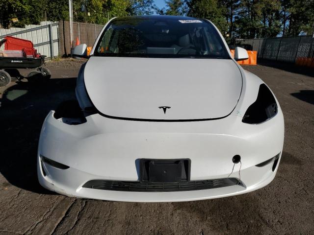7SAYGDEE5PF907321 - 2023 TESLA MODEL Y 白色 照片 5