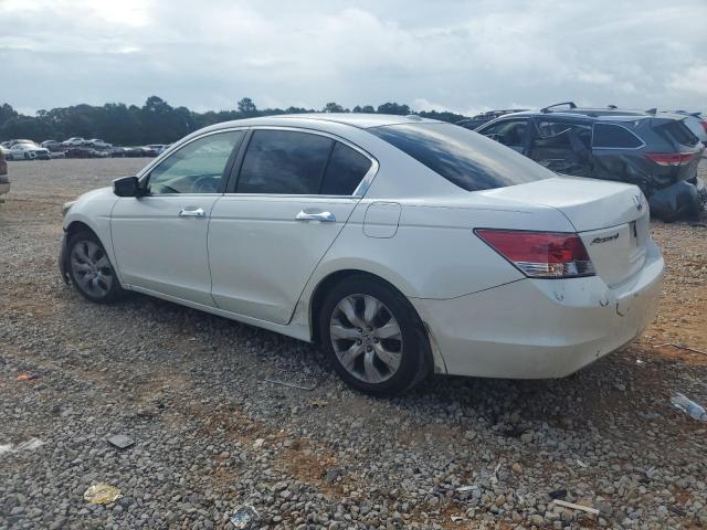 1HGCP36818A070945 - 2008 HONDA ACCORD EXL WHITE photo 2