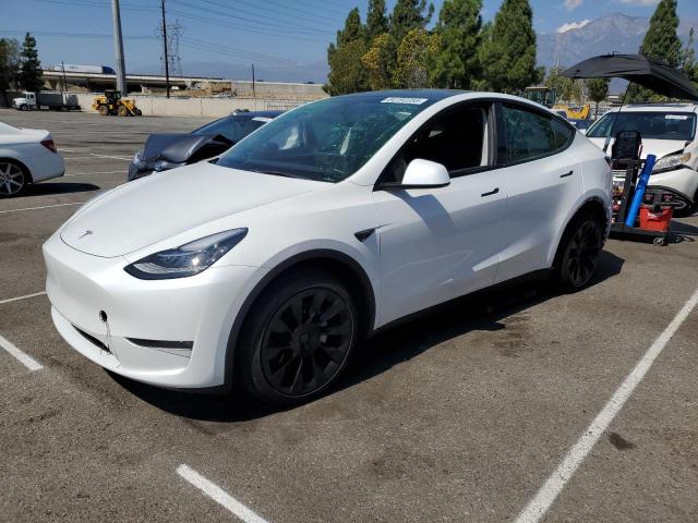 2023 TESLA MODEL Y, 