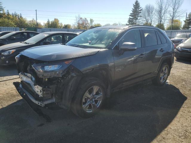 2024 TOYOTA RAV4 LE, 