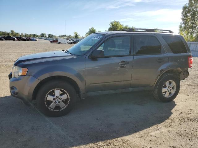 2010 FORD ESCAPE XLT, 