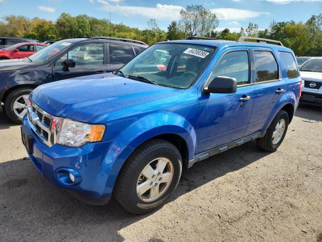 2011 FORD ESCAPE XLT, 