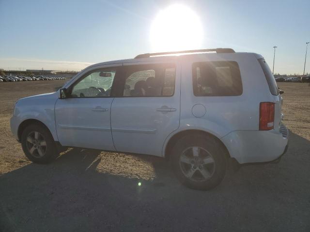 5FNYF4H53BB501445 - 2011 HONDA PILOT EXL თეთრი ფოტო 2
