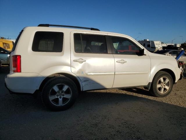 5FNYF4H53BB501445 - 2011 HONDA PILOT EXL თეთრი ფოტო 3