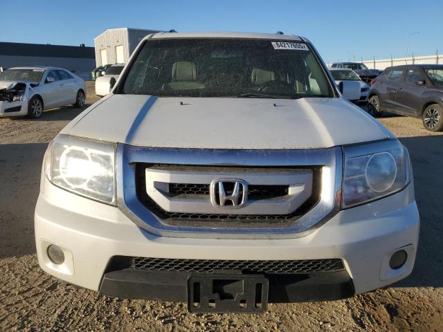 5FNYF4H53BB501445 - 2011 HONDA PILOT EXL თეთრი ფოტო 5