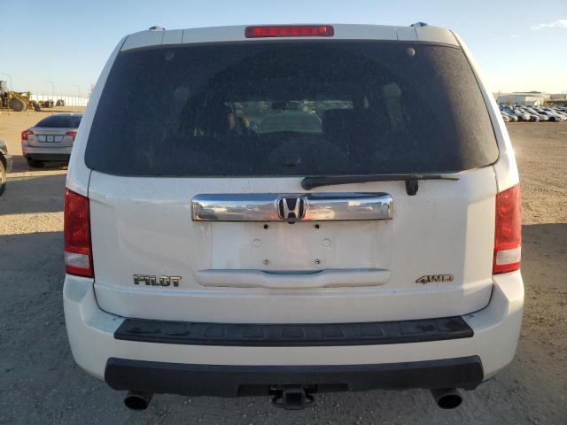 5FNYF4H53BB501445 - 2011 HONDA PILOT EXL თეთრი ფოტო 6