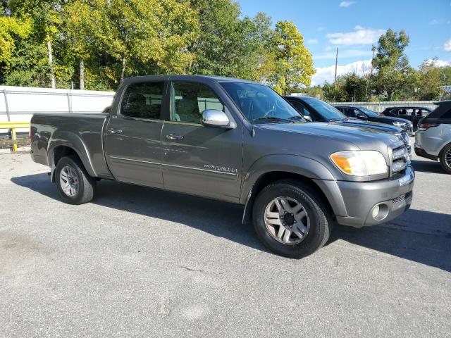 5TBDT44135S482494 - 2005 TOYOTA TUNDRA DOUBLE CAB SR5 GRAY photo 4