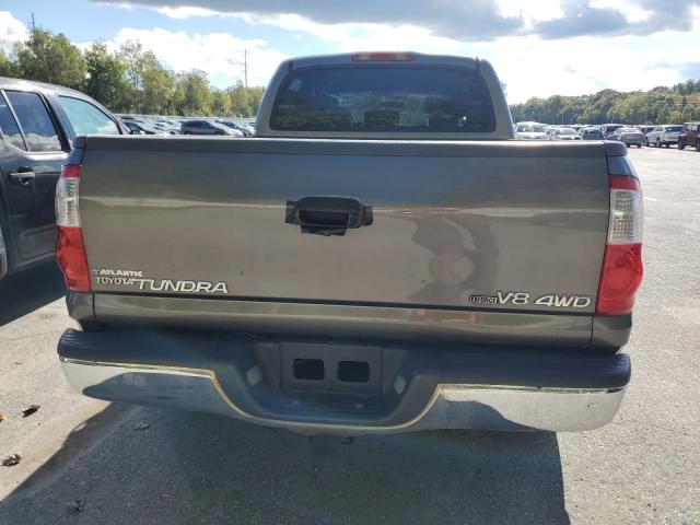 5TBDT44135S482494 - 2005 TOYOTA TUNDRA DOUBLE CAB SR5 GRAY photo 6
