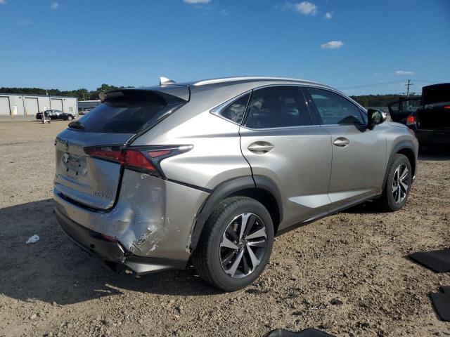 JTJGARBZXM2183443 - 2021 LEXUS NX 300 BASE SILVER photo 3