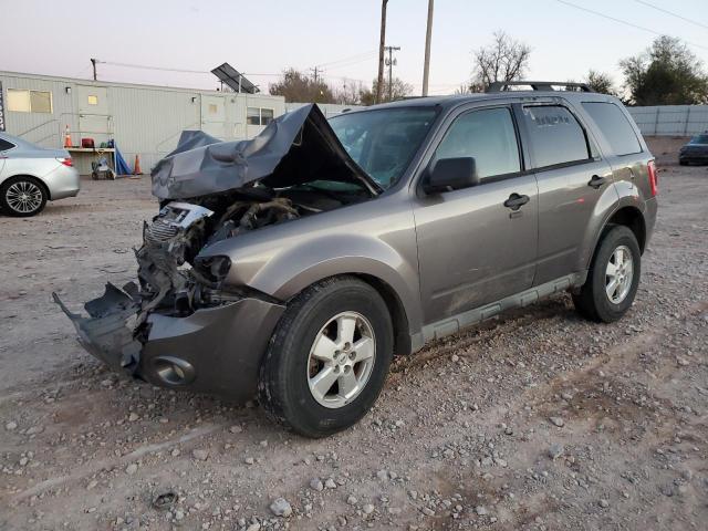 2010 FORD ESCAPE XLT, 