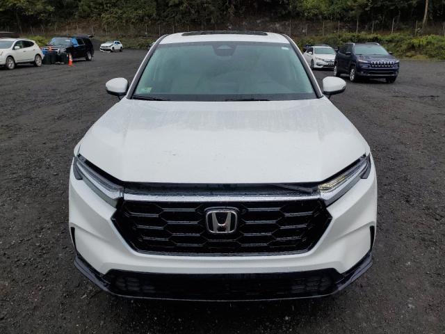 2HKRS4H73RH422497 - 2024 HONDA CR-V EXL WHITE photo 5