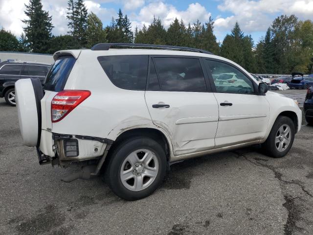 2T3BF4DV3BW130499 - 2011 TOYOTA RAV4 白色 照片 3