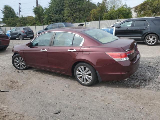 1HGCP3F71BA024451 - 2011 HONDA ACCORD EX MAROON photo 2