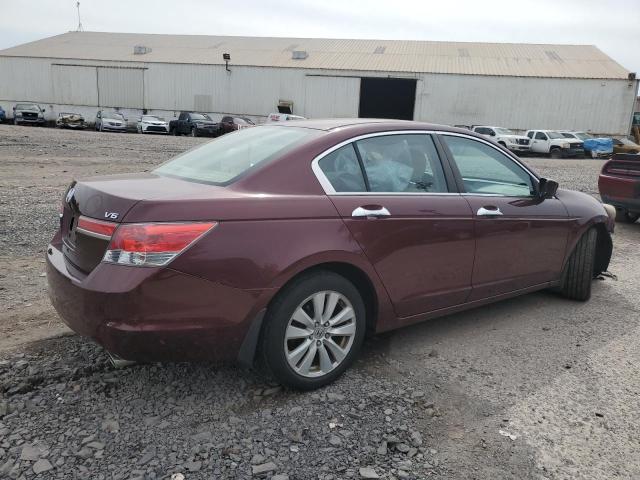 1HGCP3F71BA024451 - 2011 HONDA ACCORD EX MAROON photo 3