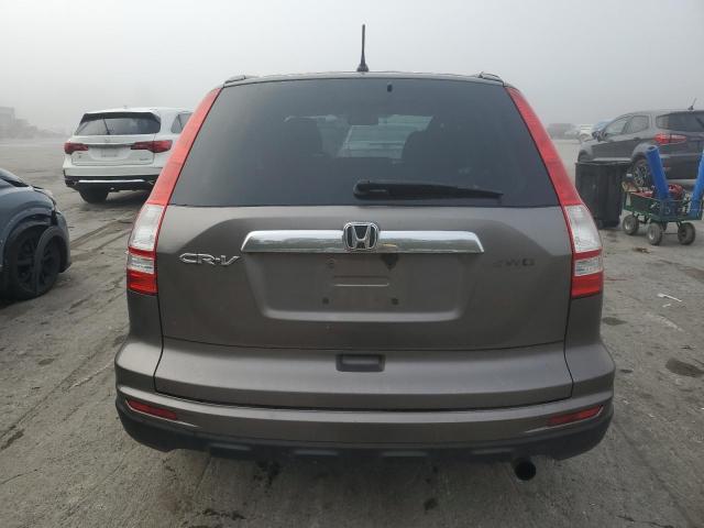 5J6RE4H52AL008837 - 2010 HONDA CR-V EX Graphit Foto 6