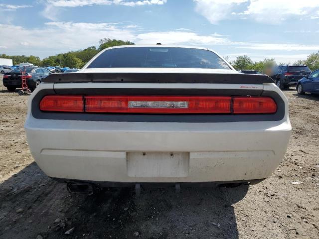 2B3LJ54T89H602862 - 2009 DODGE CHALLENGER R/T WHITE photo 6
