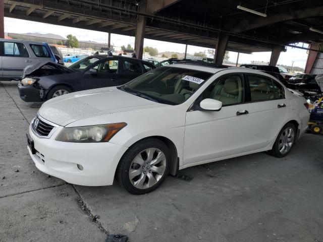 2008 HONDA ACCORD EXL, 