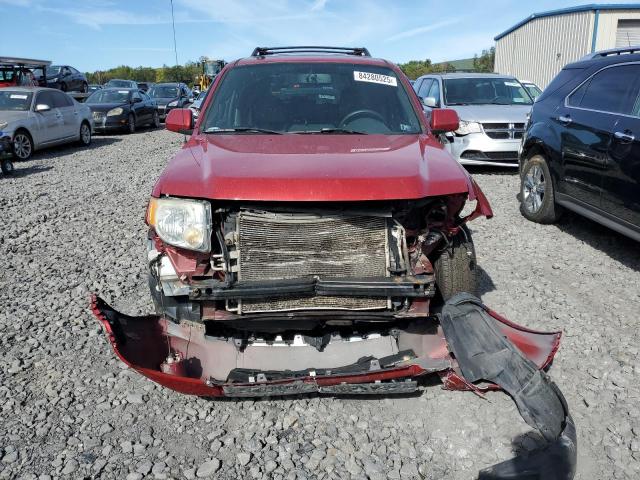1FMCU04GX9KA02411 - 2009 FORD ESCAPE LIMITED 红色 照片 5