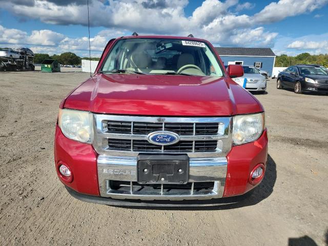 1FMCU9EG0AKC06481 - 2010 FORD ESCAPE LIMITED 红色 照片 5