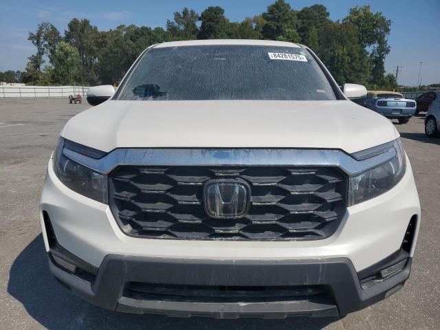 5FNYF8H54RB020153 - 2024 HONDA PASSPORT EXL WHITE photo 5