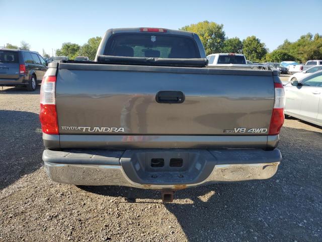 5TBDT44116S507667 - 2006 TOYOTA TUNDRA DOUBLE CAB SR5 GRAY photo 6
