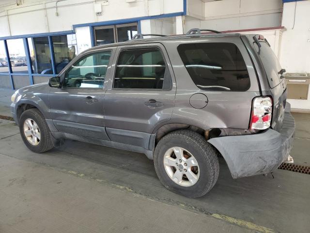 1FMYU931X5KA56762 - 2005 FORD ESCAPE XLT Beżowy zdjęcie 2