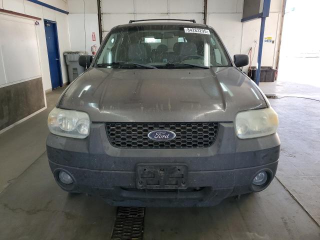 1FMYU931X5KA56762 - 2005 FORD ESCAPE XLT Beżowy zdjęcie 5