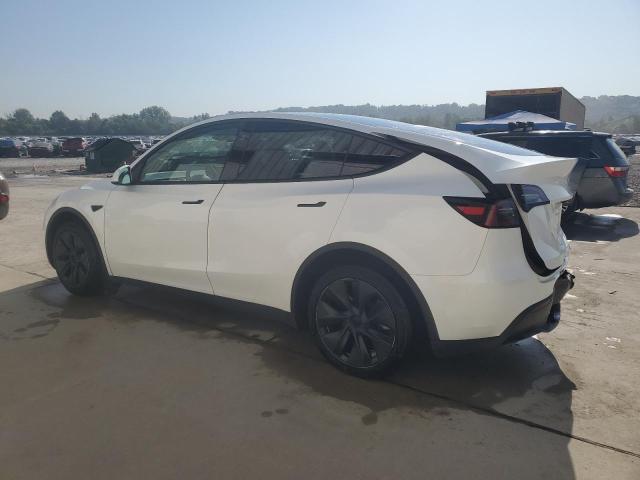 7SAYGDEEXRF149852 - 2024 TESLA MODEL Y თეთრი ფოტო 2